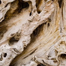 Load image into Gallery viewer, Amber Driftwood