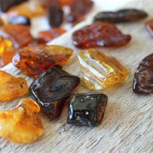 Load image into Gallery viewer, Amber Patchouli