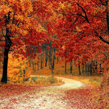 Load image into Gallery viewer, Fallen Leaves