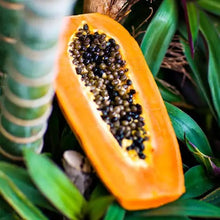 Load image into Gallery viewer, Papaya Paradise