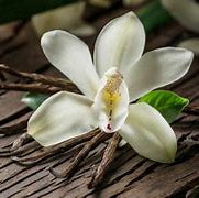 Load image into Gallery viewer, Vanilla Orchid