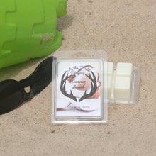 Load image into Gallery viewer, Cancun Beach Soy Wax Melts