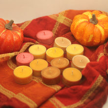 Load image into Gallery viewer, Sampler Box Fall Collection