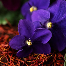 Load image into Gallery viewer, Black Violet Saffron
