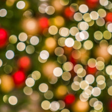 Load image into Gallery viewer, Christmas Sampler
