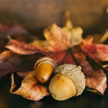 Load image into Gallery viewer, Maple Leaf Acorn
