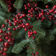 Load image into Gallery viewer, Red Berry Balsam
