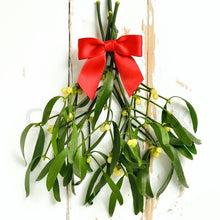 Load image into Gallery viewer, Under the Mistletoe
