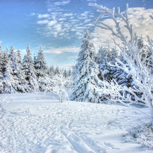 Load image into Gallery viewer, Winter Sampler
