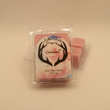Load image into Gallery viewer, Carnival Soy Wax Melts
